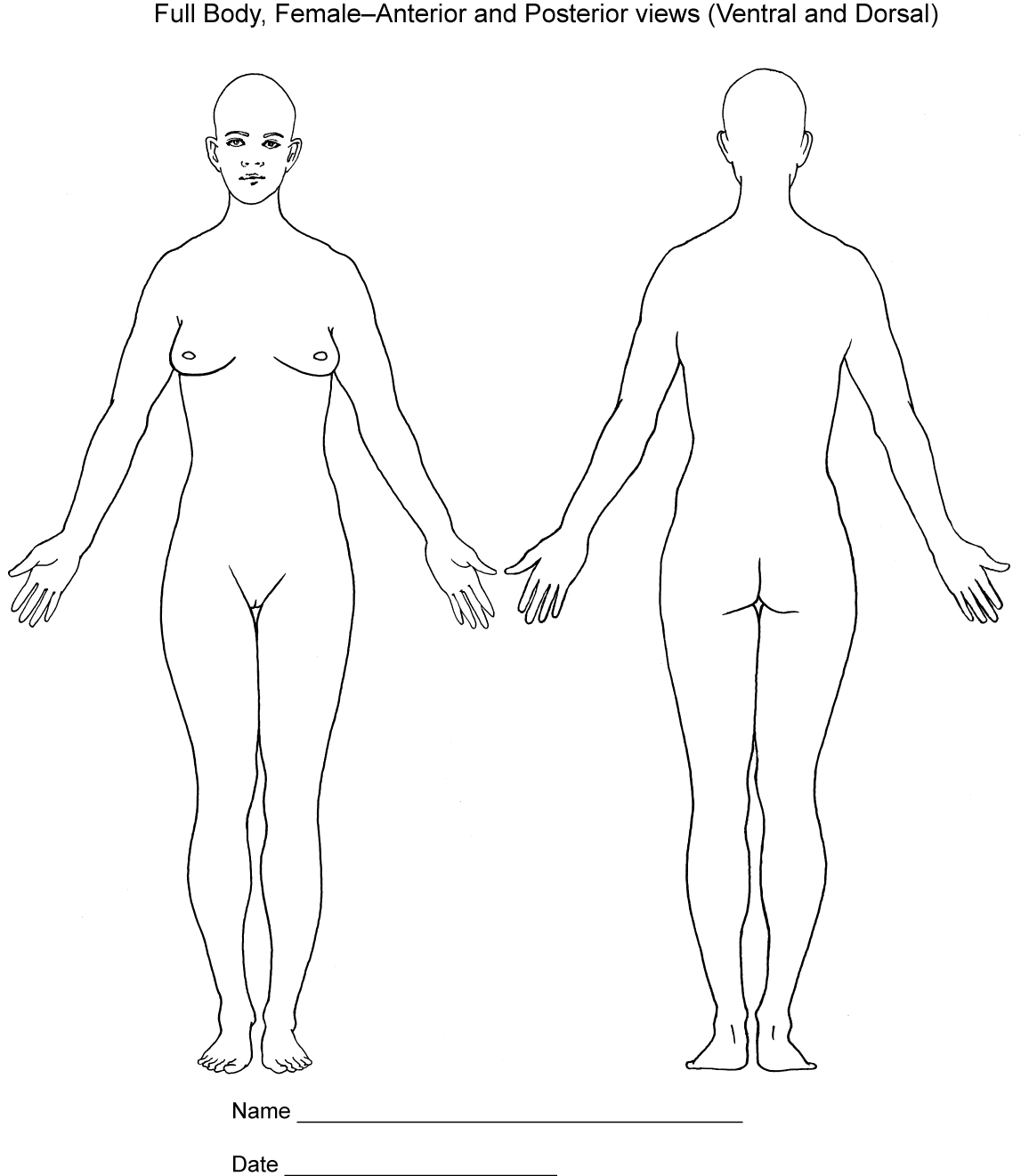 Body Diagrams Society Of Asylum Medicine Body Diagrams Society Of Asylum Medicine