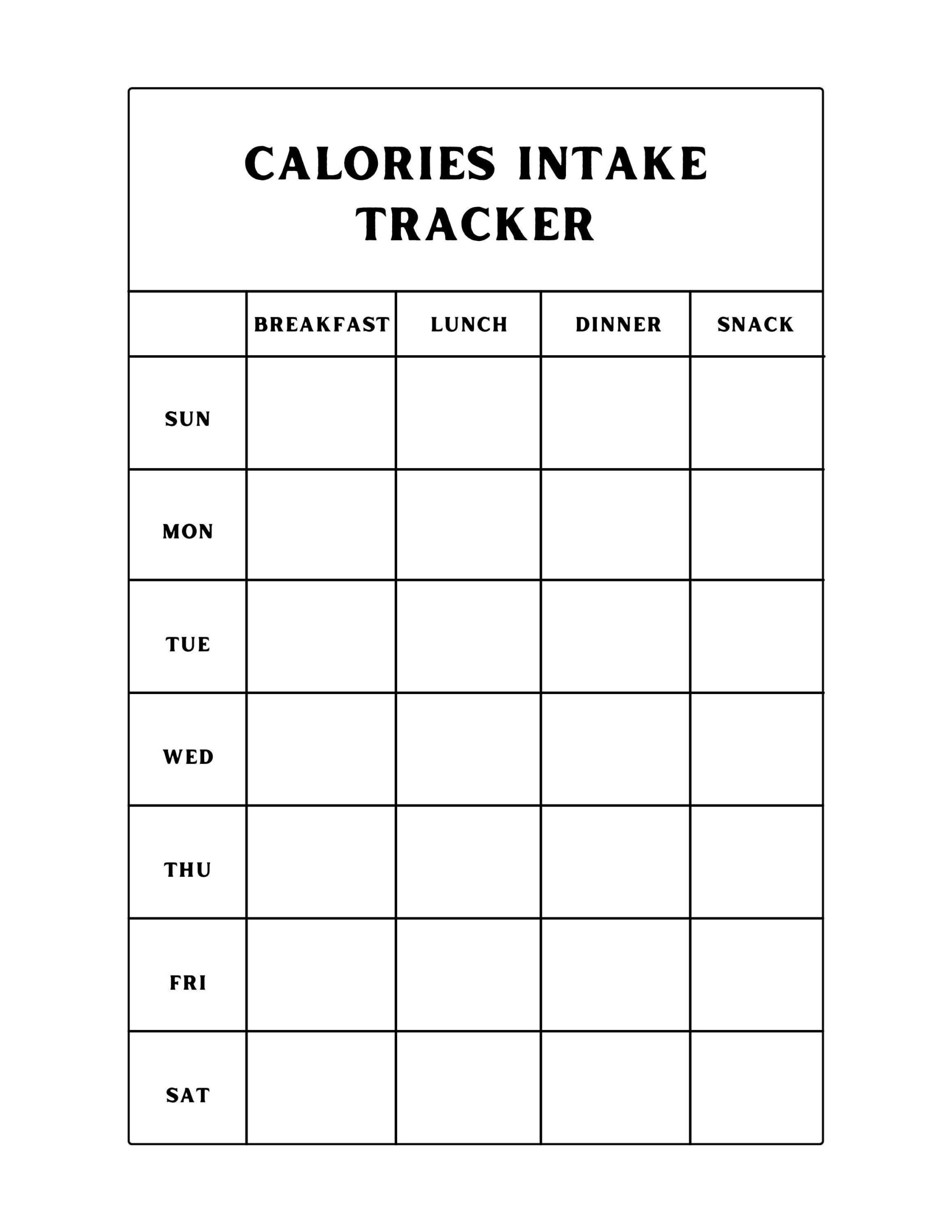 Calorie Intake Tracker Printable PDF Etsy