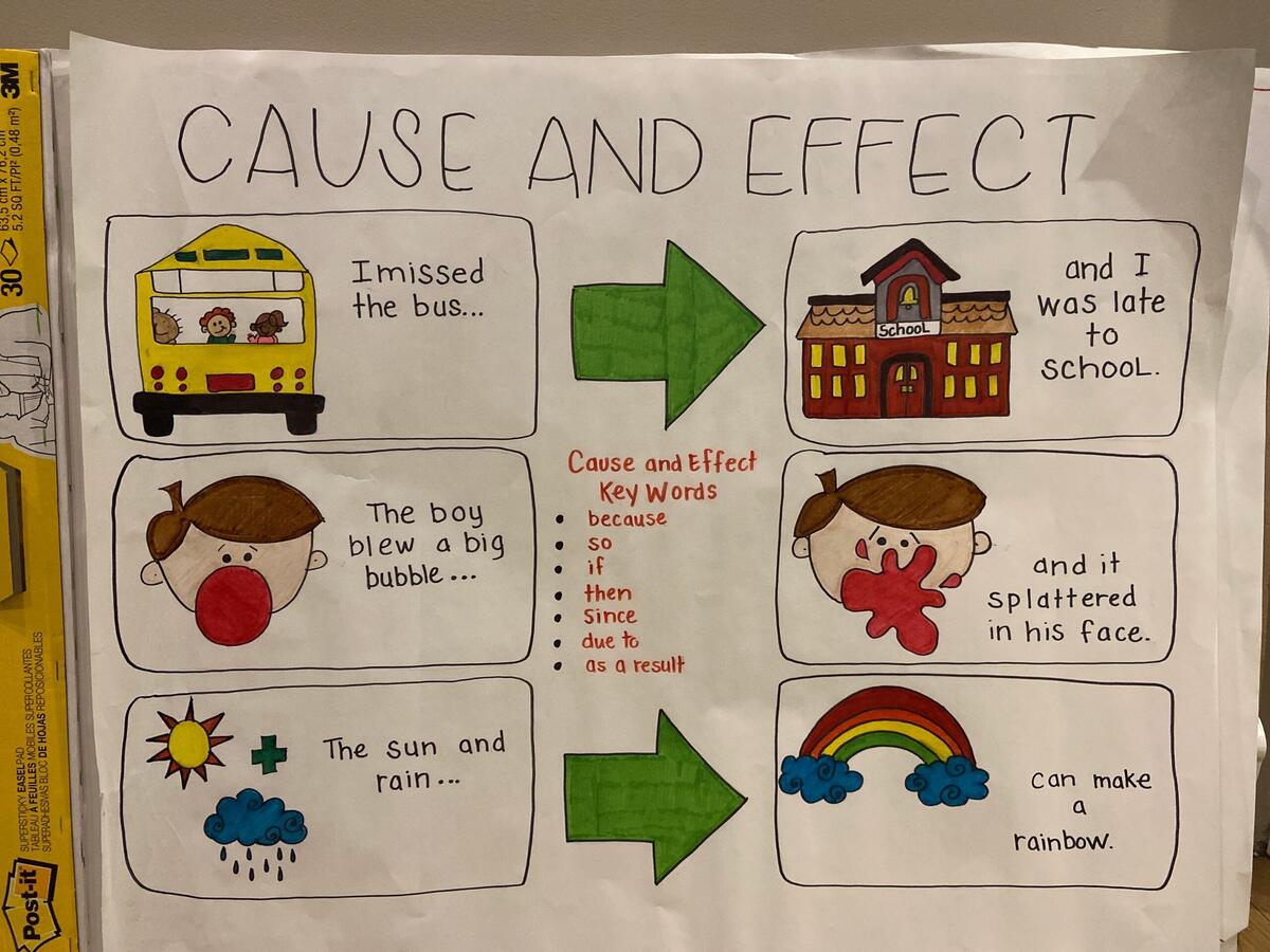 Cause And Effect Anchor Chart Etsy Denmark Cause And Effect Anchor Chart Etsy Denmark