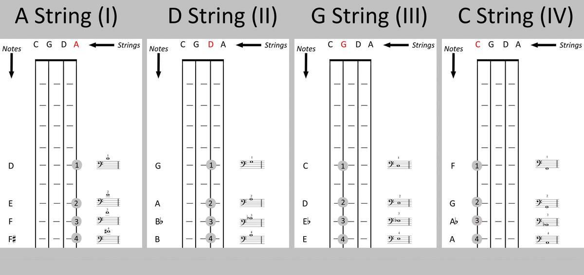 Cello Fingerboard Chart The Cello Companion