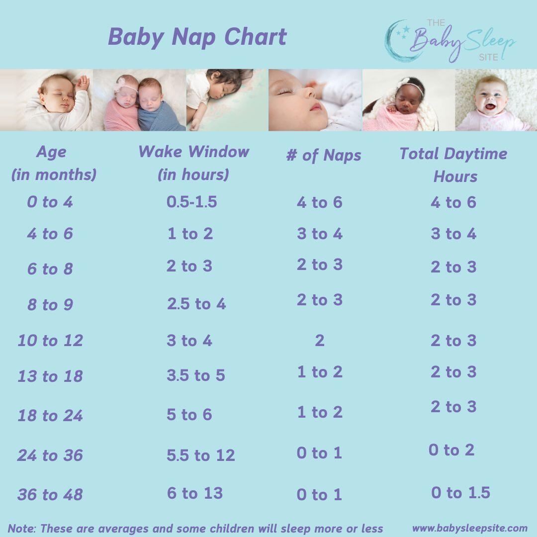 Chart Infant Sleeping Pattern Schedule Baby Sleep Cycles Months Sleep Patterns Baby Sleeping All Chart Infant Sleeping Pattern Schedule Baby Sleep Cycles Months Sleep Patterns Baby Sleeping All