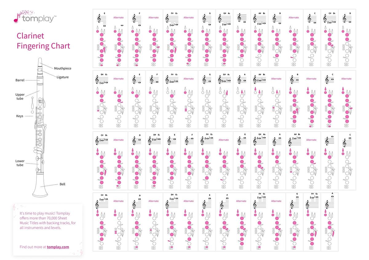 Clarinet Fingering Chart In Illustrator PDF Download Template