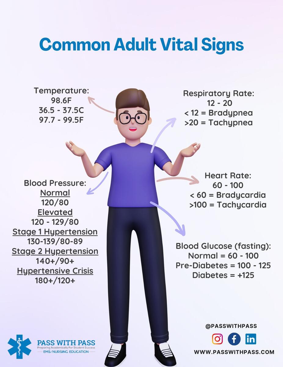 Common Normal Adult Vital Signs Reference Chart Etsy Israel