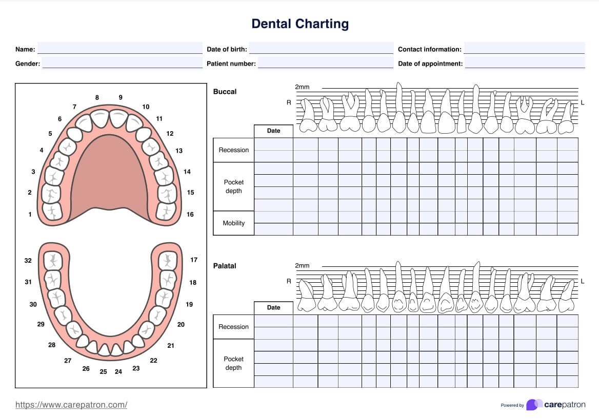 Dental Charting Template Tooth Chart Full Sheet 15 Free PDF Printables Printablee