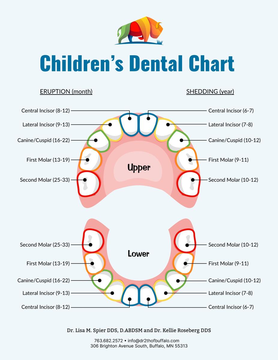Dental Tips For Mom Dental Care Associates Of Buffalo Tooth Chart Full Sheet 15 Free PDF Printables Printablee