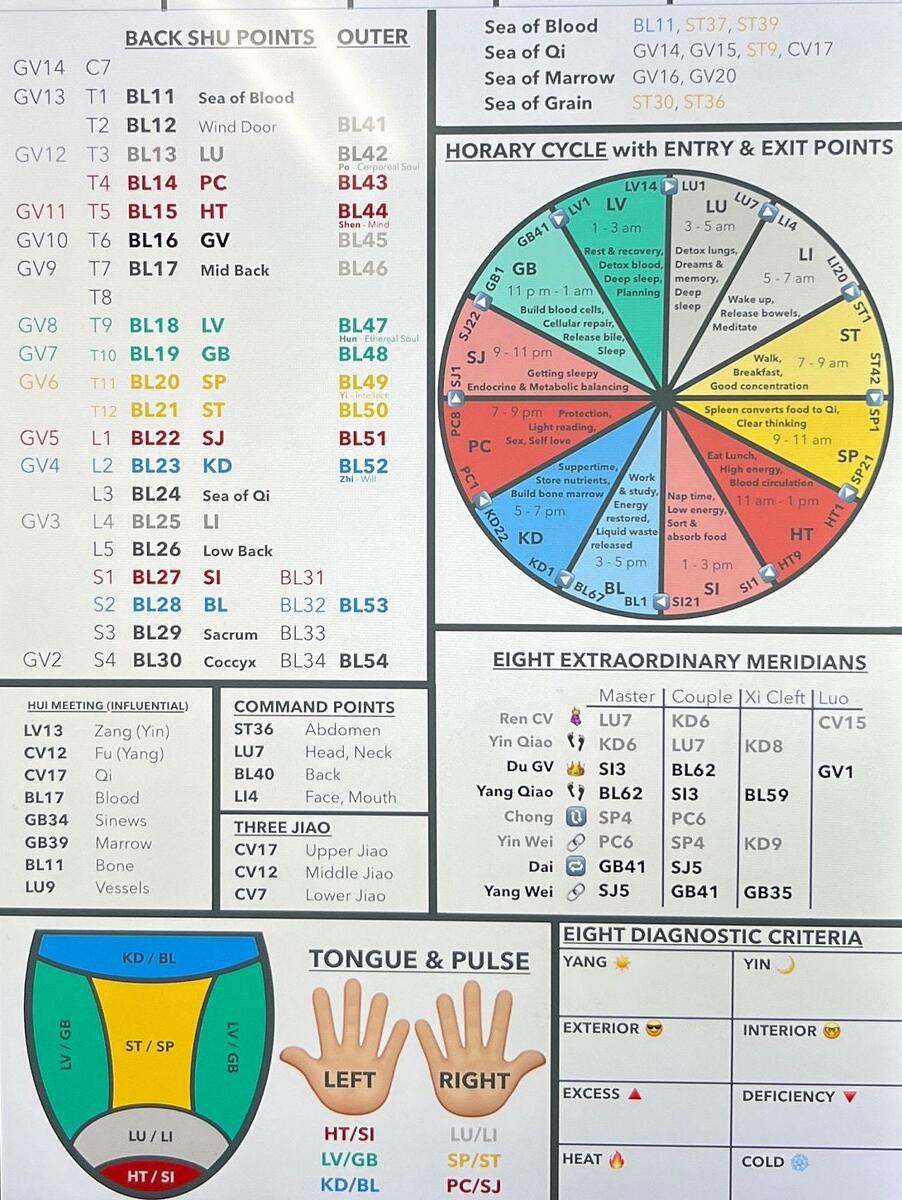 DIGITAL Acupuncture Quick Reference 2 Page PDF Five Element Horary Cycle Tongue Diagnosis Pulse Diagnosis Etsy
