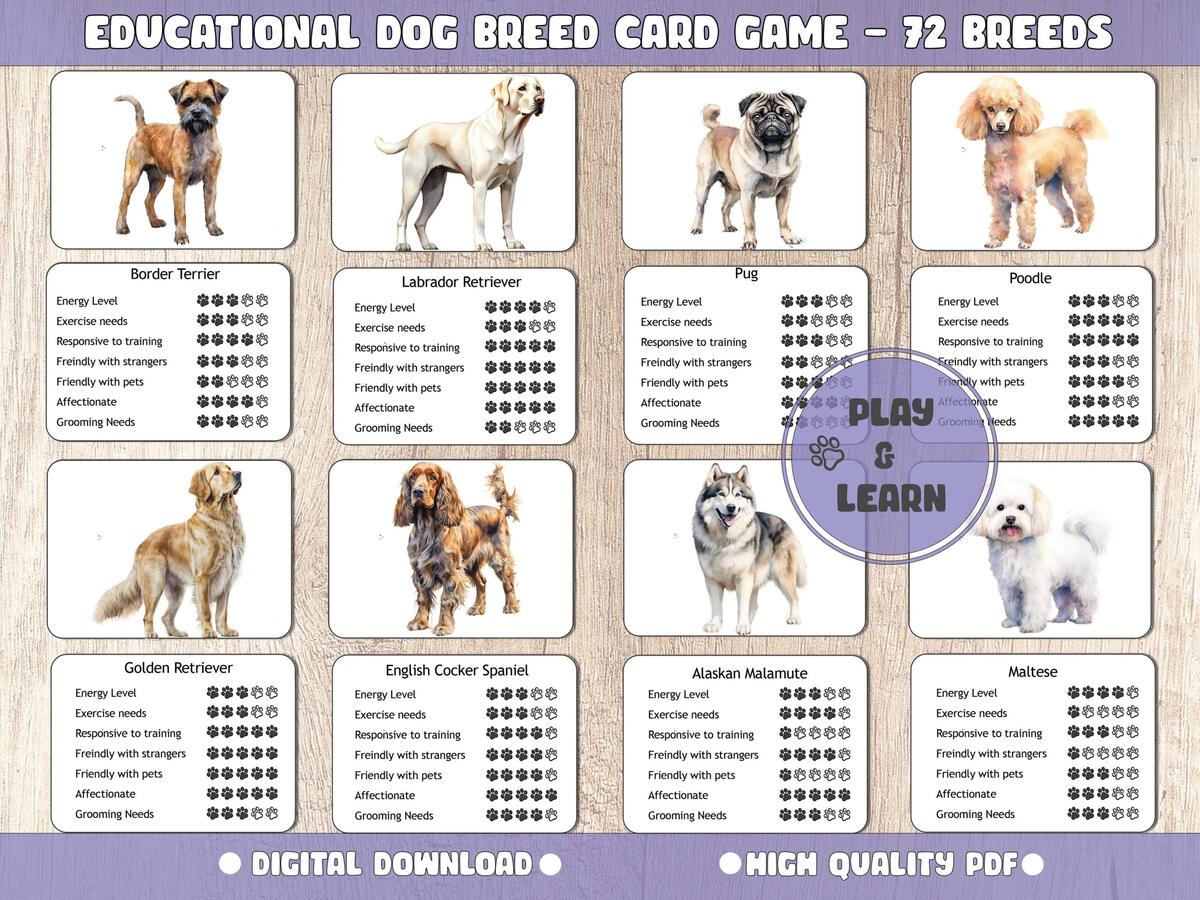 Dog Breeds Printable Educational Dog Breed Cards 72 Breeds Learn Dog Breeds And Characteristics Instant Download Kids And Adults Etsy Dog Breeds Printable Educational Dog Breed Cards 72 Breeds Learn Dog Breeds And Characteristics Instant Download Kids And Adults Etsy