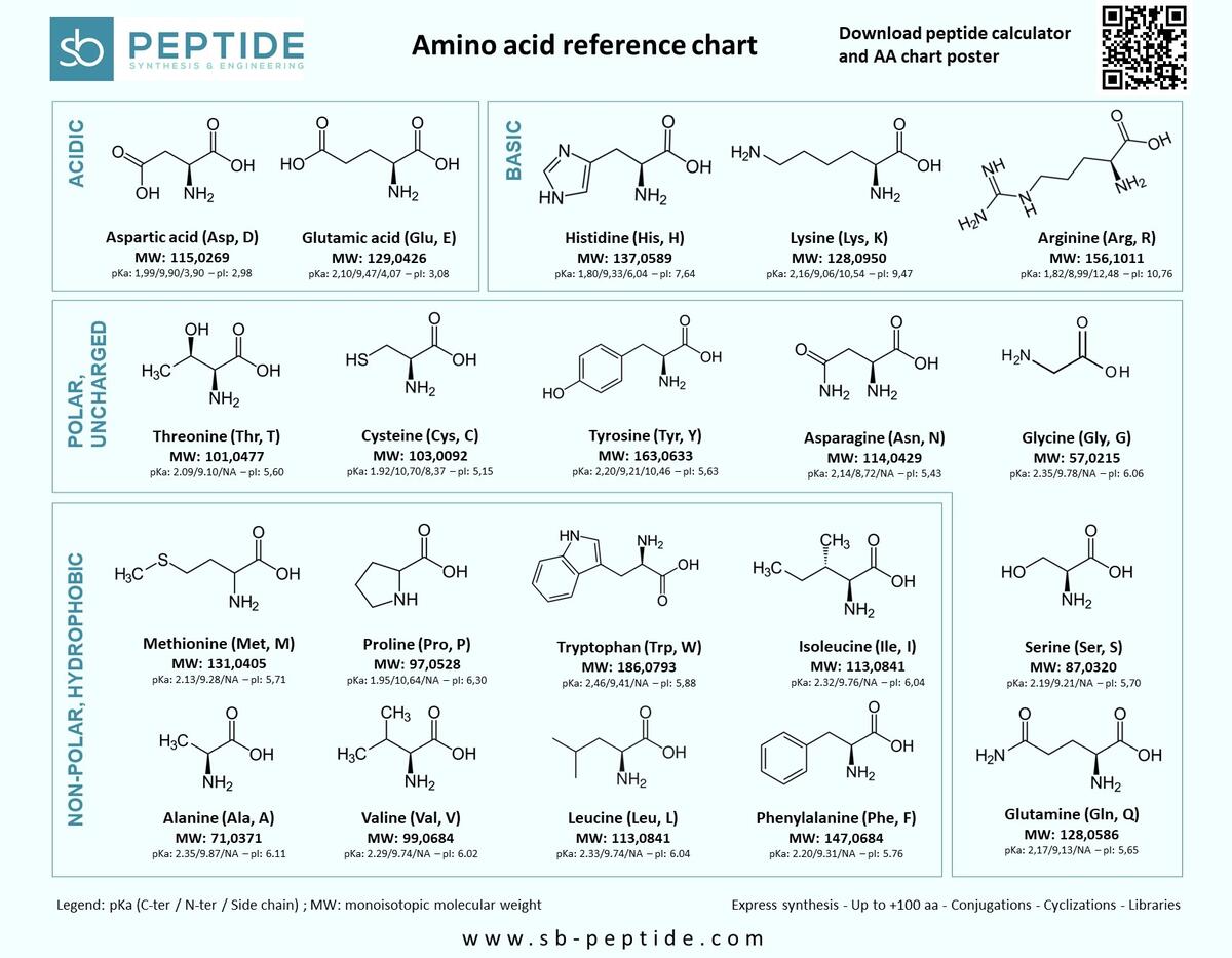 Download Amino Acids Chart And Reference Table Amino Acid Chart ChemTalk