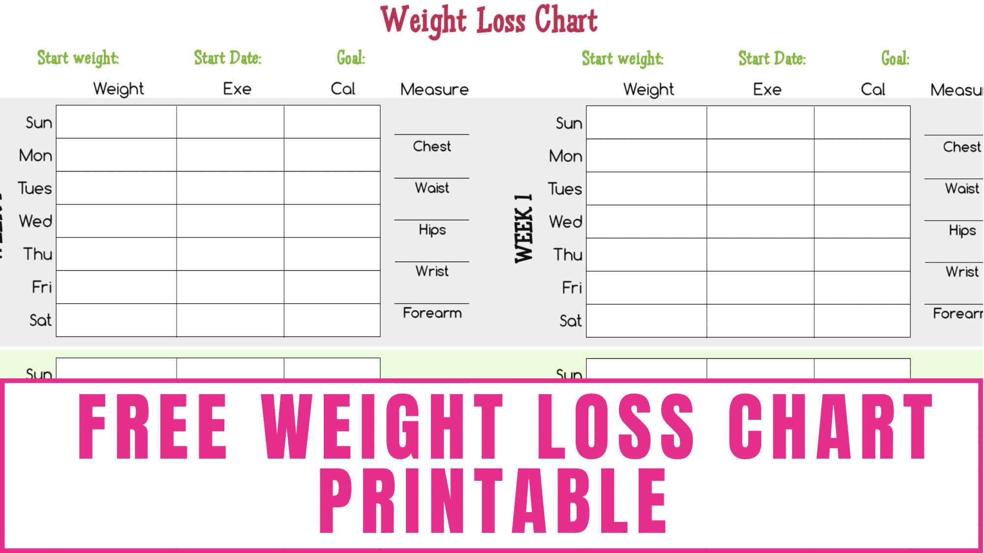 Female Printable Body Measurement Chart Female Printable Body Measurement Chart