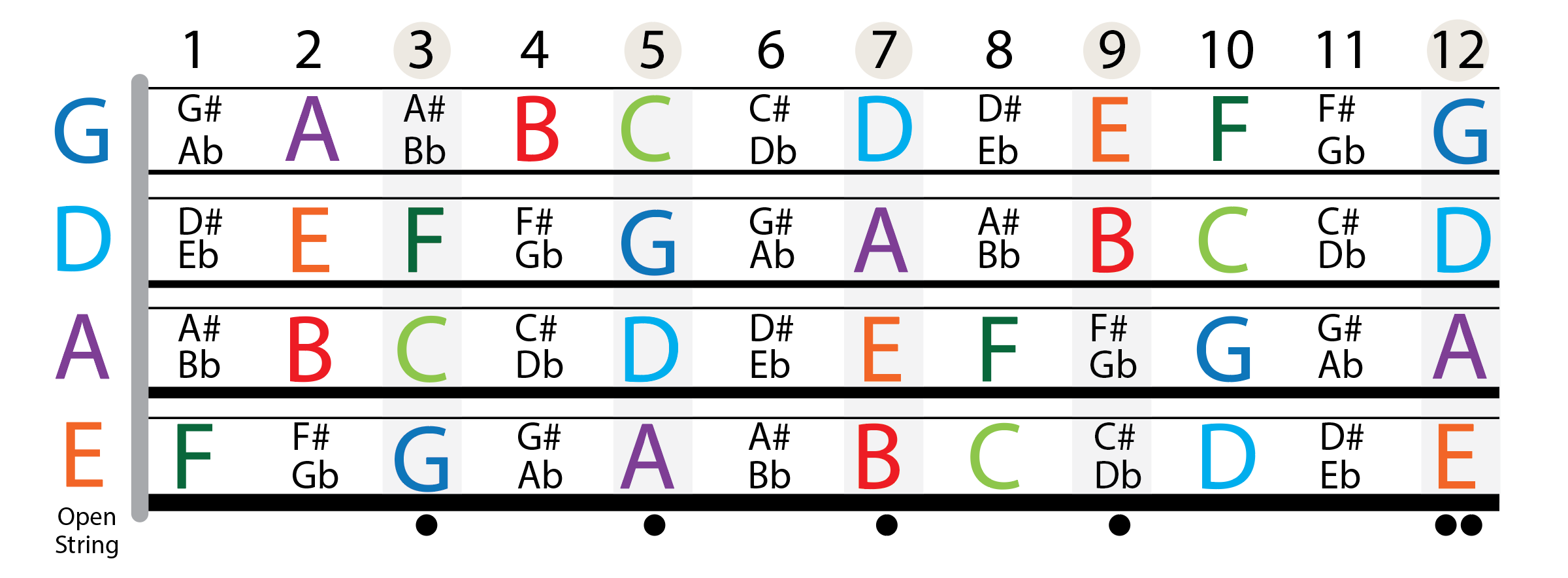 Fretboard Notes Image Theory BassBuzz Forum Fretboard Notes Image Theory BassBuzz Forum