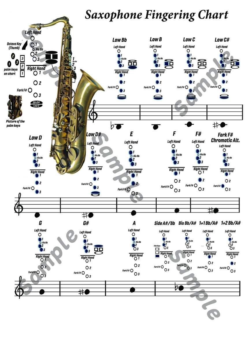 Saxophone Fingering Chart Interactive Tool For All Saxophone Players