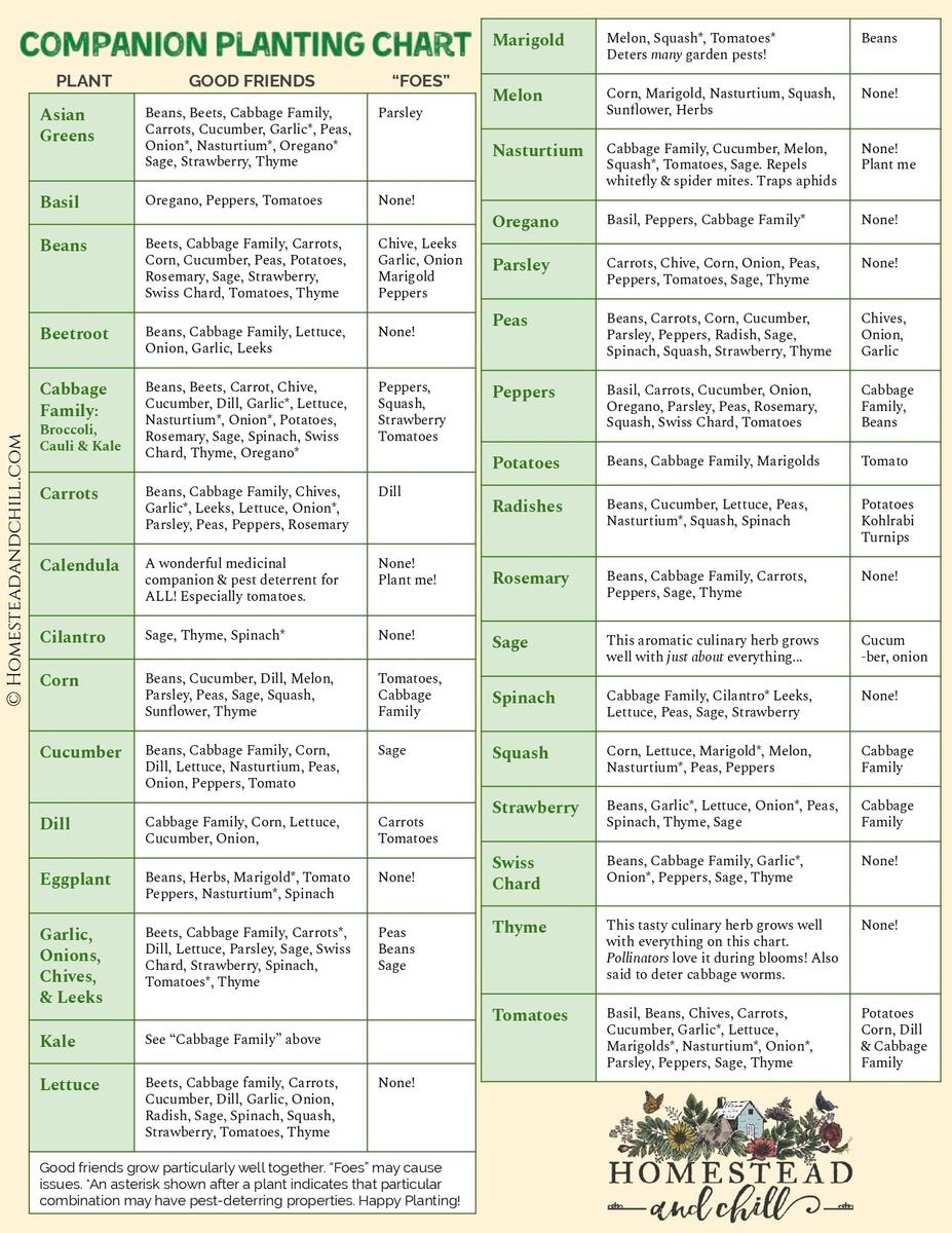 Use This Companion Planting Chart To Help Your Garden Thrive Live Love Fruit