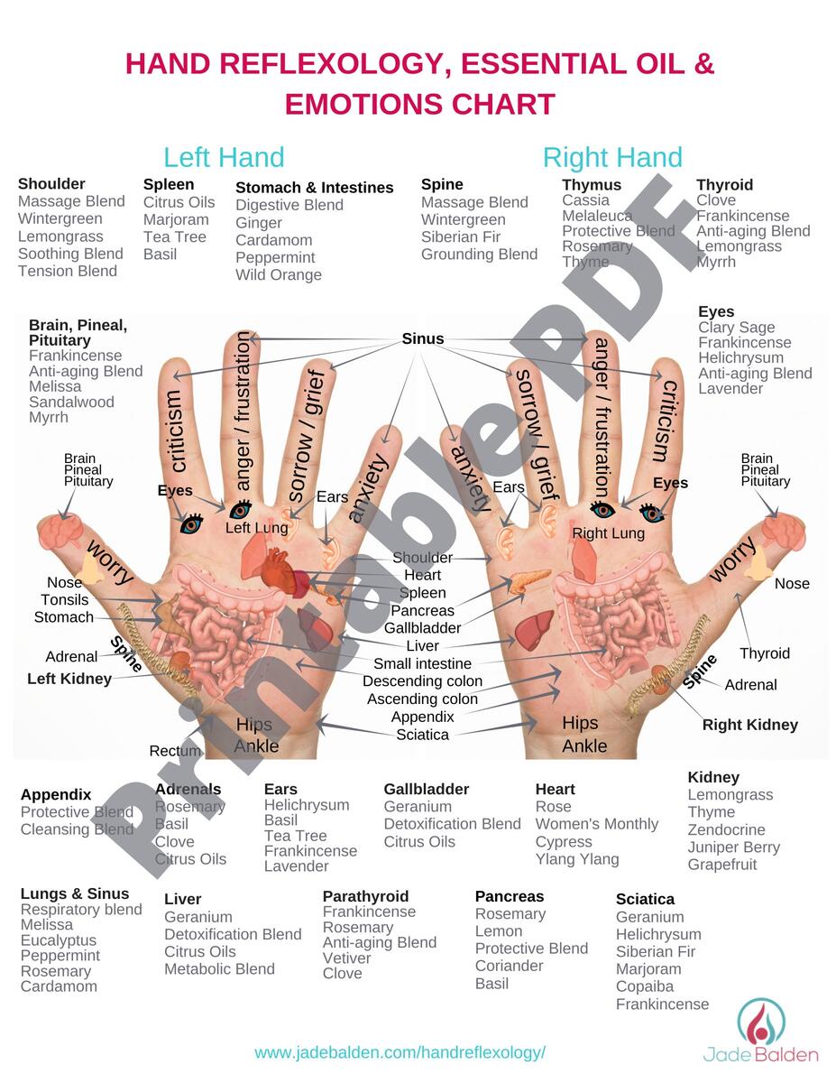 Amazon Hand Reflexology Chart Metal Tin Sign 8x12 Inch Vintage Retro Sign Decor For House Bar Pub Bedroom Bathroom Plaque Poster Wall Art Sign Posters Prints