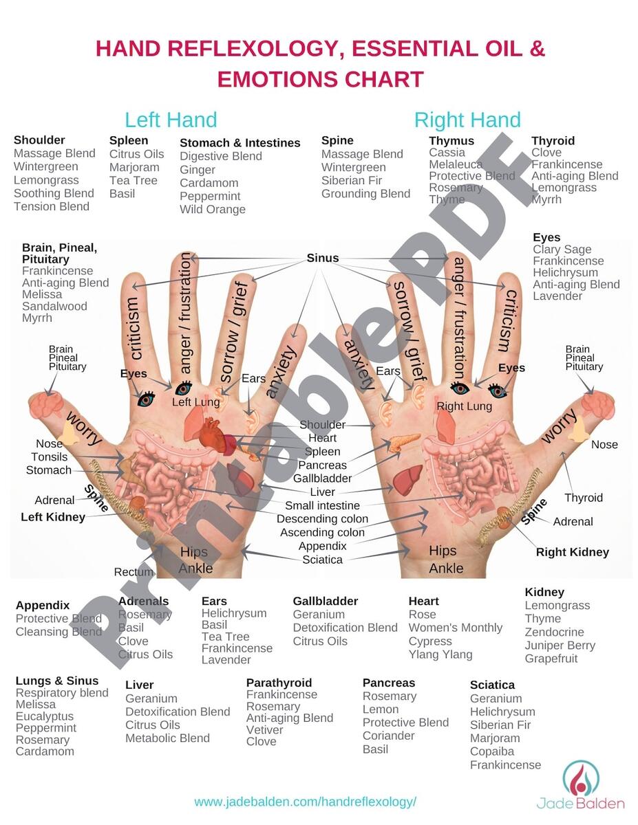 31 Printable Foot Reflexology Charts Maps TemplateLab