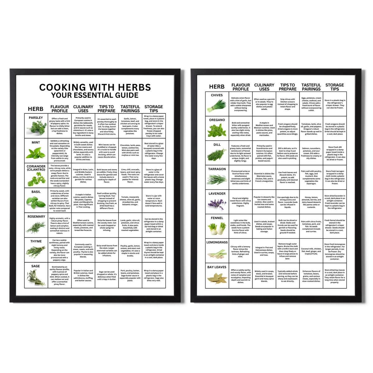 Herb Guide Poster Culinary Uses Flavor Profiles Etsy