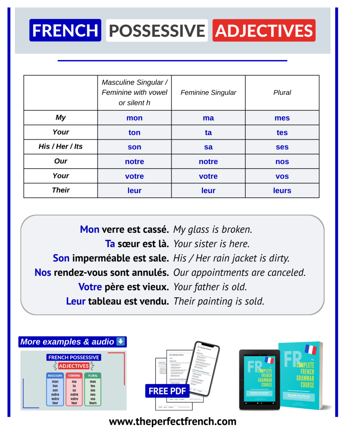Learn French Possessive Adjectives French Online Language Courses The Perfect French With Dylane Learn French Possessive Adjectives French Online Language Courses The Perfect French With Dylane