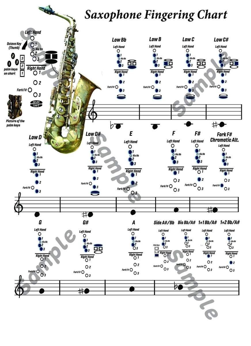 Legere Alto Sax Saxophone Fingering Chart Poster Beginner S Guide Alto Tenor Sax Sax A Boom Legere Alto Sax Saxophone Fingering Chart Poster Beginner S Guide Alto Tenor Sax Sax A Boom