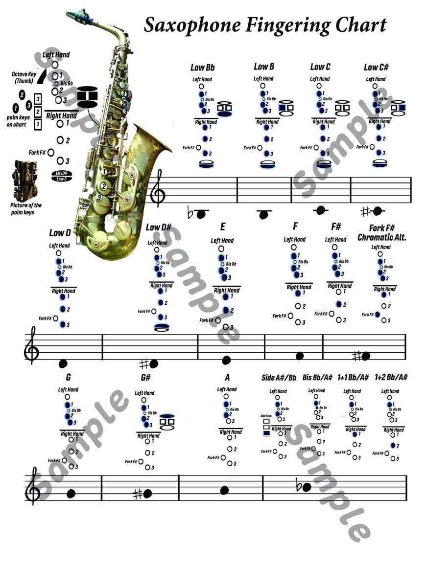 Legere Alto Sax Saxophone Fingering Chart Poster Beginner S Guide Alto Tenor Sax Sax A Boom Legere Alto Sax Saxophone Fingering Chart Poster Beginner S Guide Alto Tenor Sax Sax A Boom
