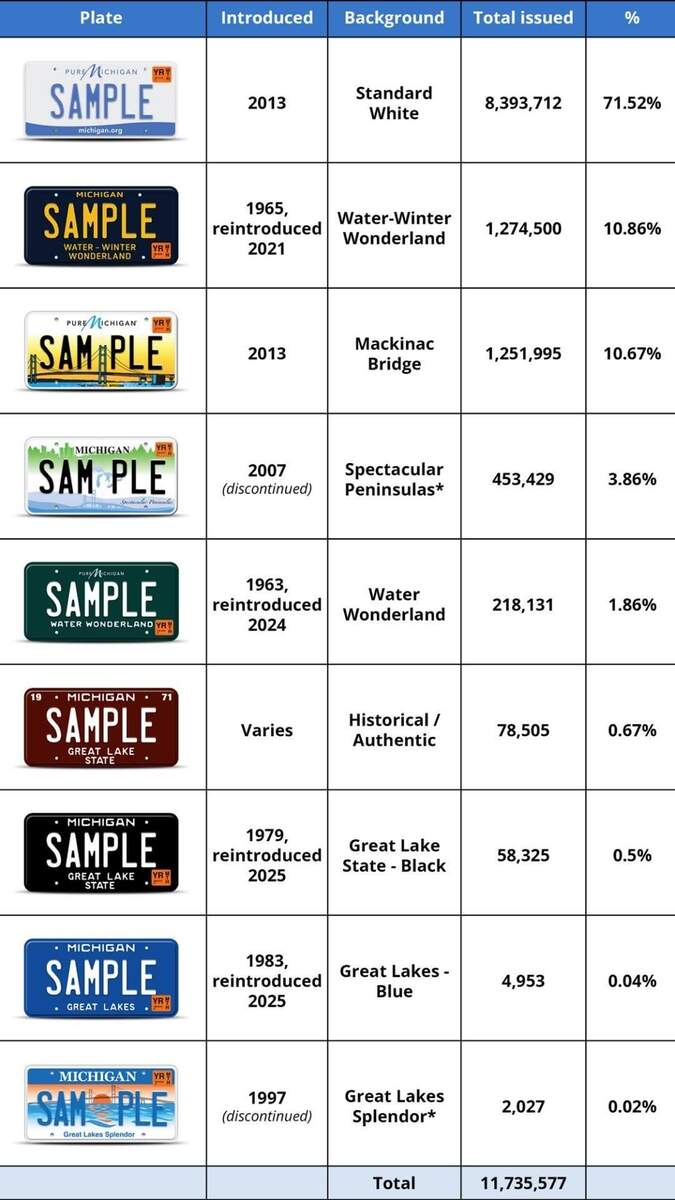 Michigan Department Of State Releases Top License Plates On The Road In 2025 R Detroit Michigan Department Of State Releases Top License Plates On The Road In 2025 R Detroit