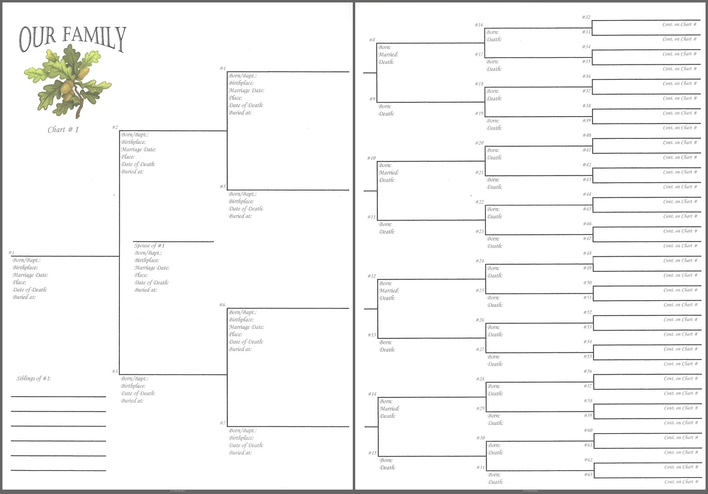 Oak Tree 6 X 8 6 Generations Pedigree Chart Scrapbook Your Family Tree