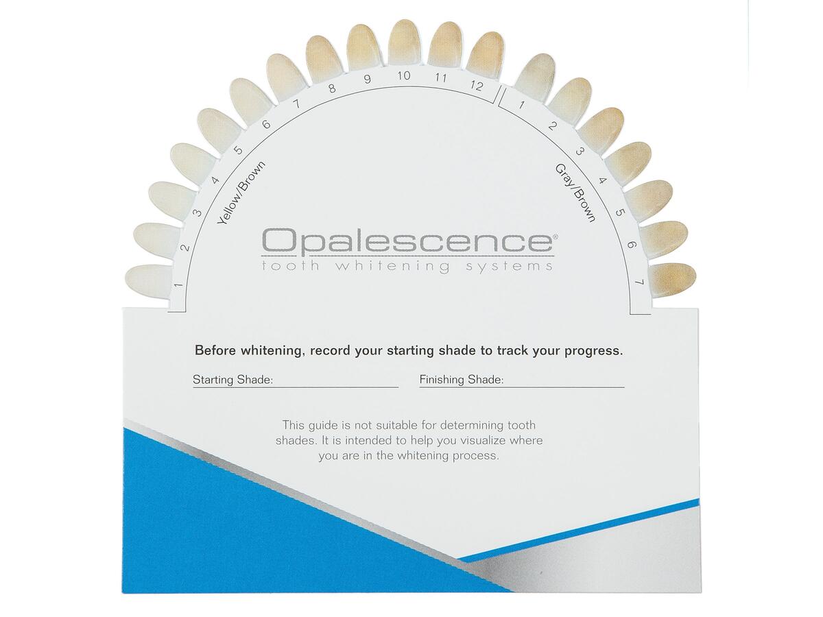 Opalescence Shade Guide Card Opalescence Shade Guide Card