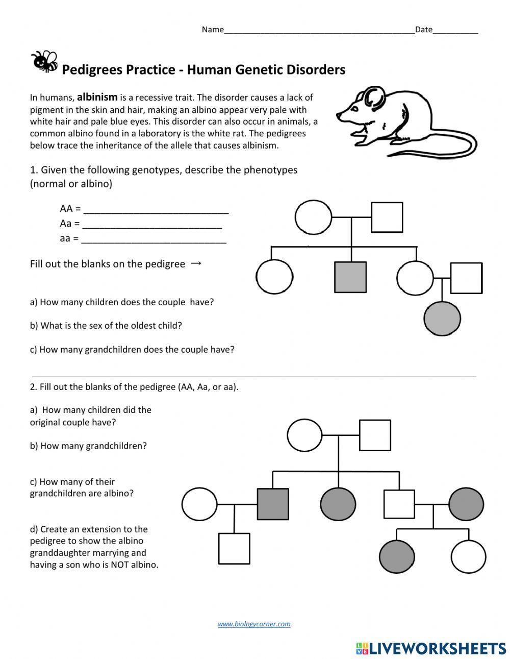 Pedigree Charts Worksheet Worksheets Library