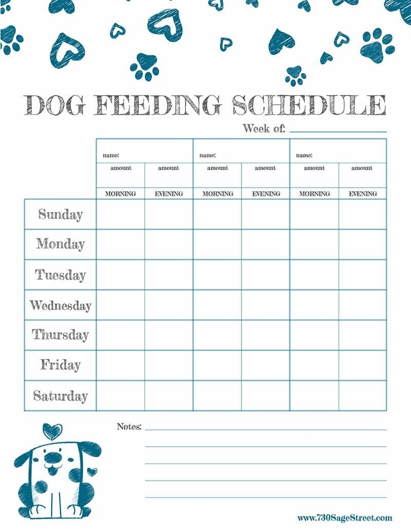 Pet Feeding Chart Printable Pet Feeding Chart Printable