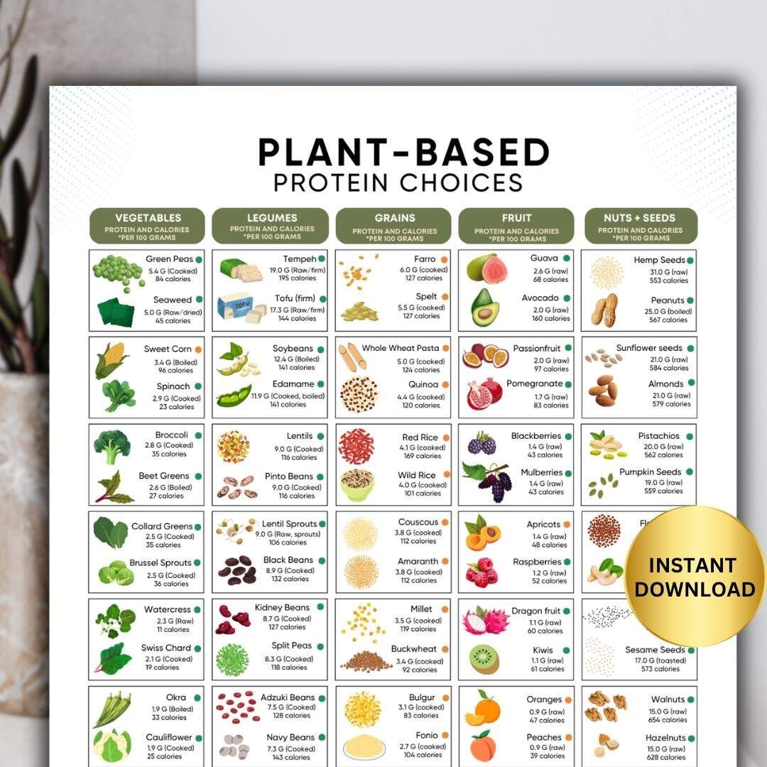 Plant Based Protein Chart Healthy Eating Guide High Protein Food Chart Top Protein Rich Foods Nutrition Poster For Vegetarian And Vegans Etsy
