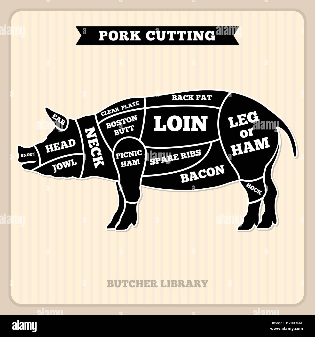 Pork Pig Meat Cutting Vector Vintage Chart Cuts Guide Diagram Pig Cuts Butcher Diagram Illustration Of Section Pig Stock Vector Image Art Alamy