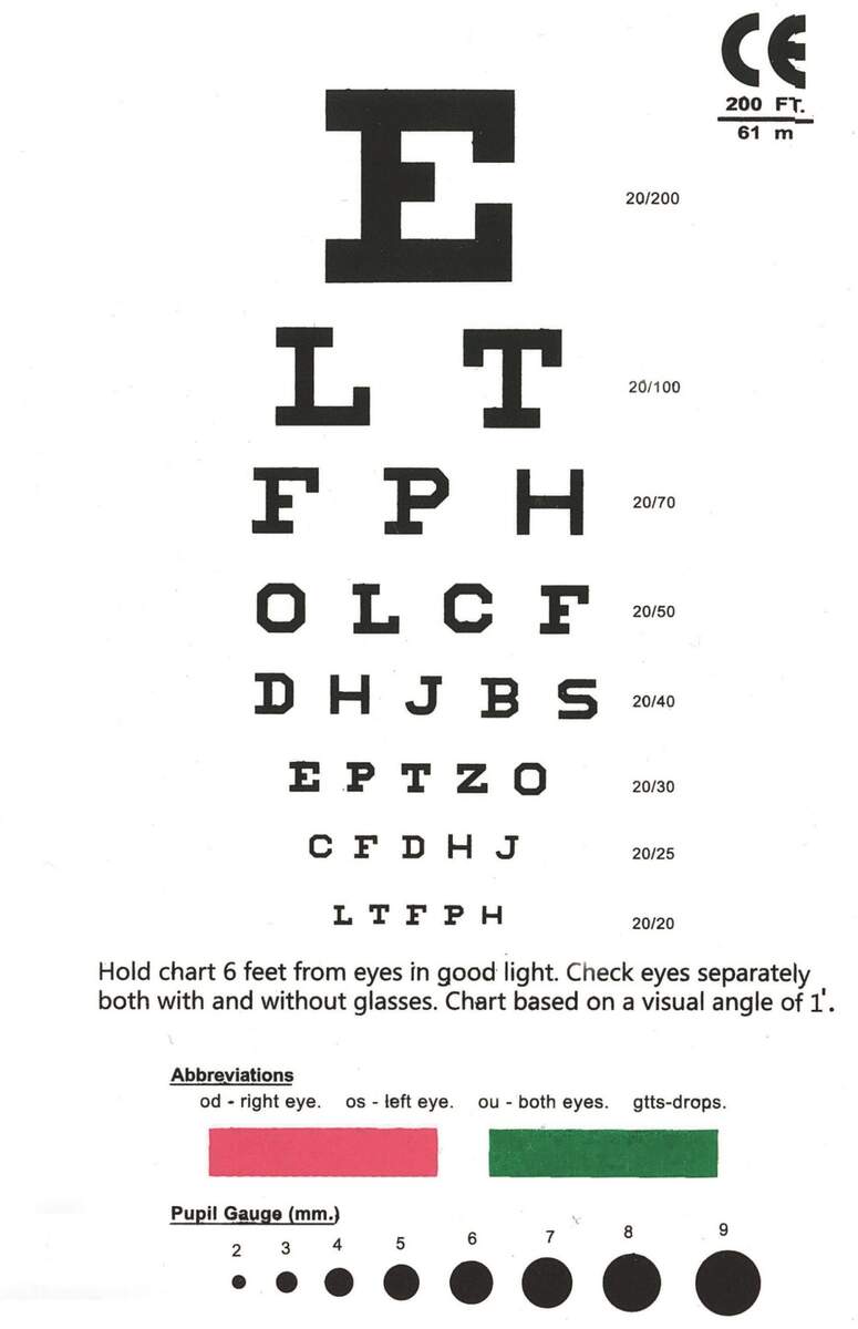 Rosenbaum Eye Chart Maccoy Pocket Eye Chart Rosenbaum Snellen Pupil Gauge Color Test Vision Chart Rosenbaum Eye Chart Maccoy Pocket Eye Chart Rosenbaum Snellen Pupil Gauge Color Test Vision Chart