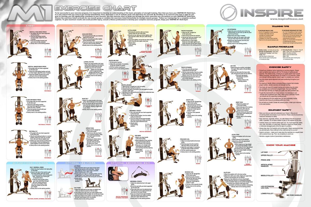 Routine Jim Exercise Total Gym Free Multi Gym Exercises Chart Pdf Free Printable Gym