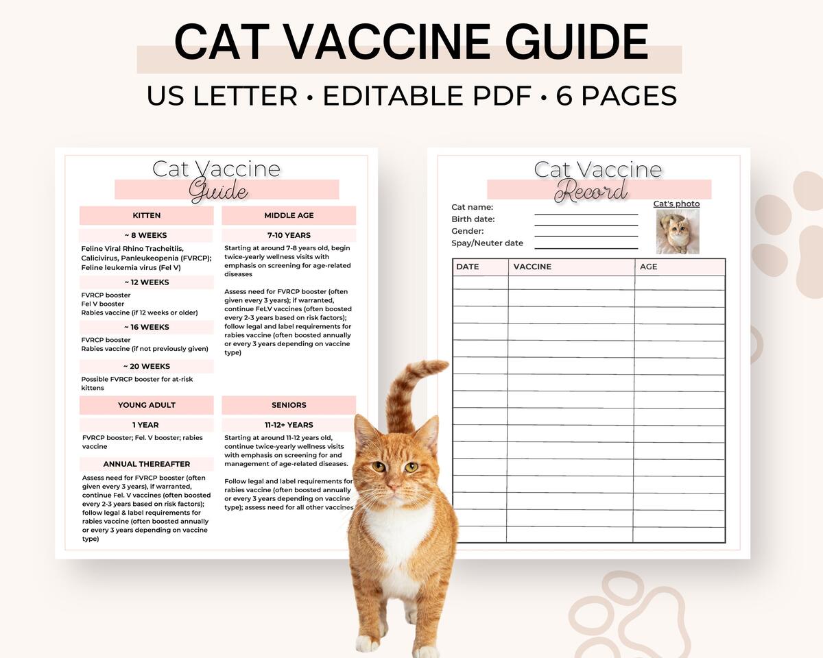 Schedule Kitten Jabs Buy Printable Cat Vaccine Health Record Pet Care Record Book Vaccine Schedule Cat Second Vaccination Cat Vaccination Record Cat Health Record Cat Shot Record Pet