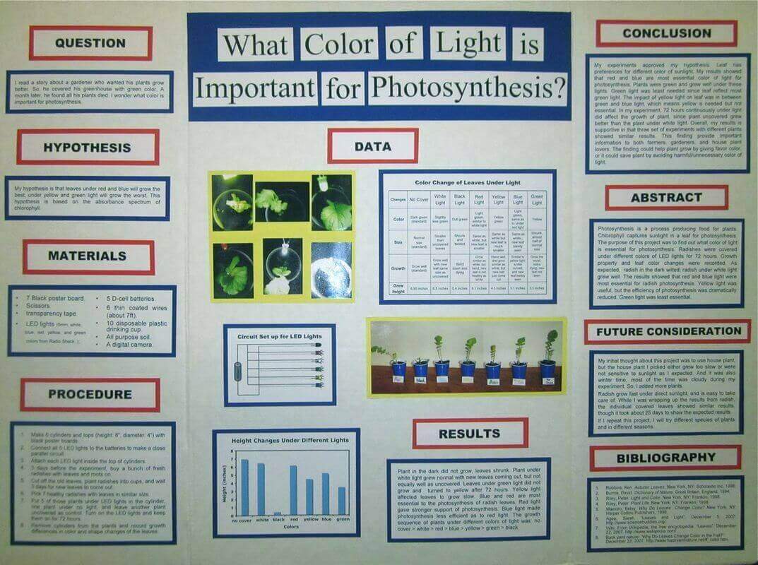 Science Fair Project Board Examples How To Design Edrawmax