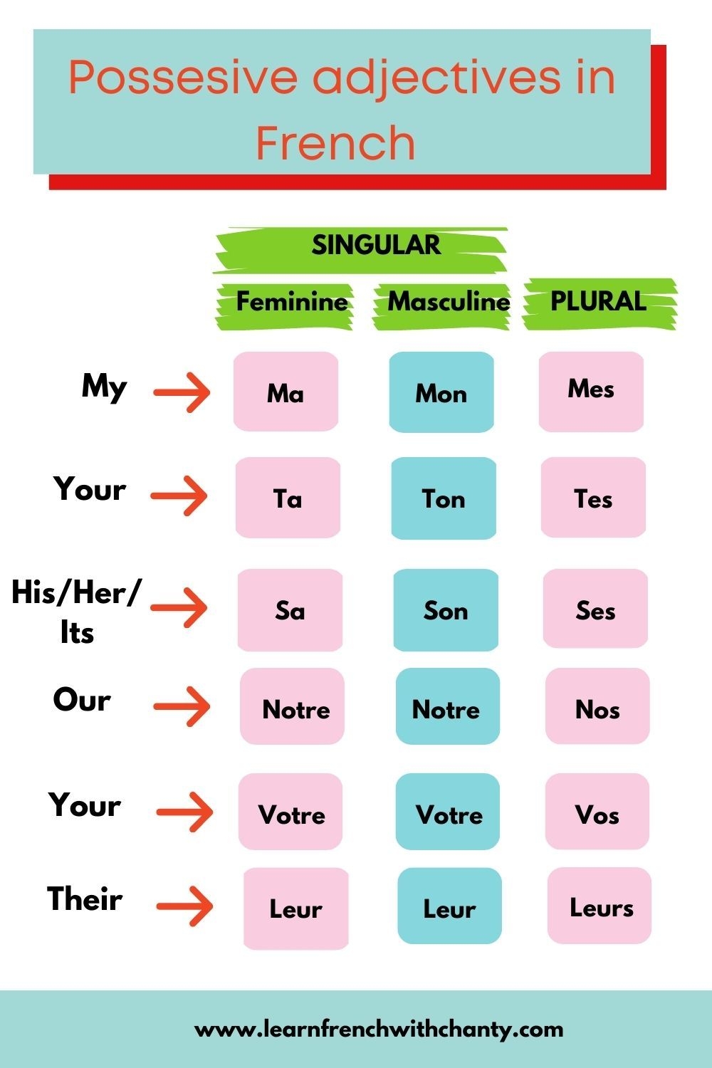 The Key To Understanding Possessive Adjectives In French The Key To Understanding Possessive Adjectives In French