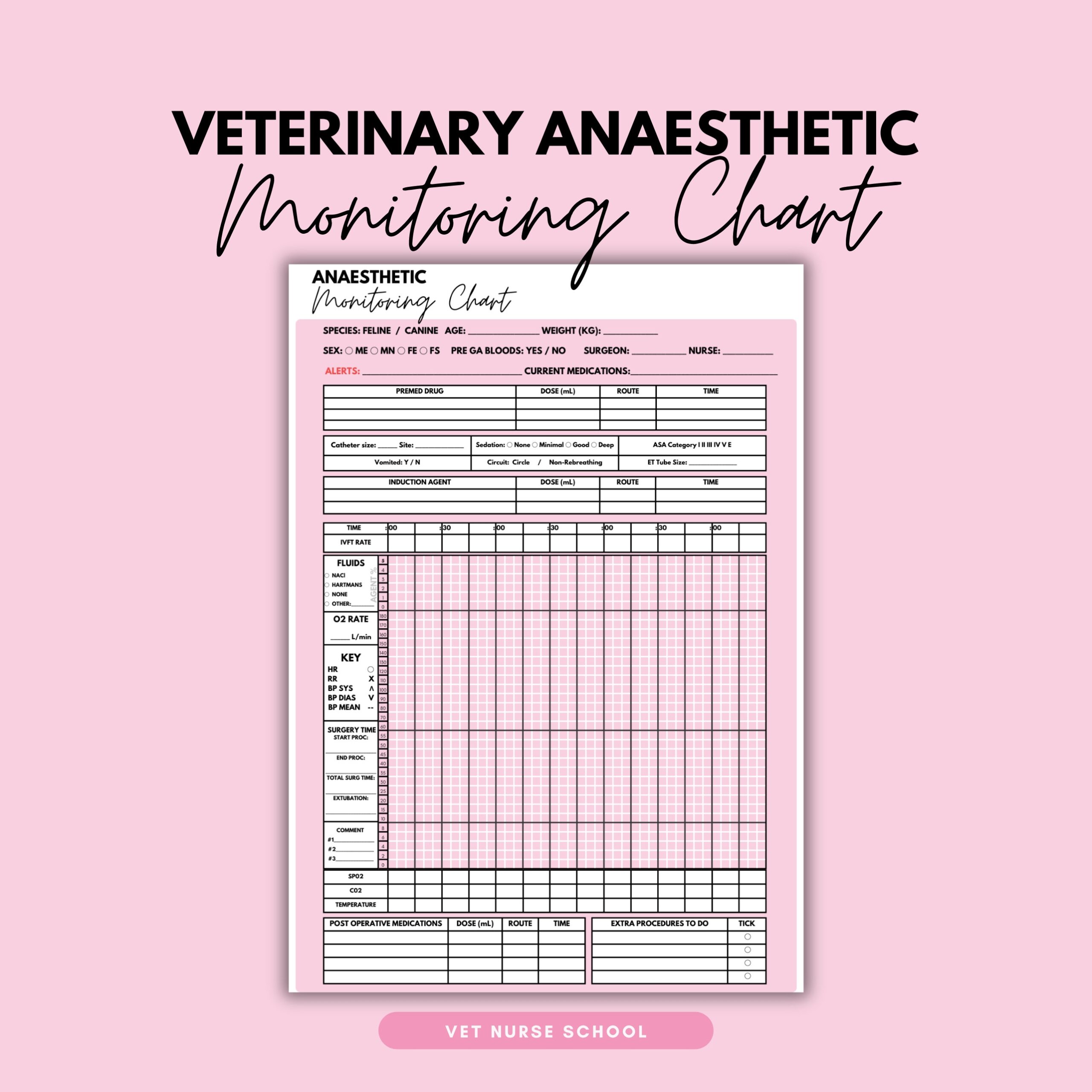 Vet Anesthesia Monitoring Sheet Customizable Surgery Record PDF Etsy